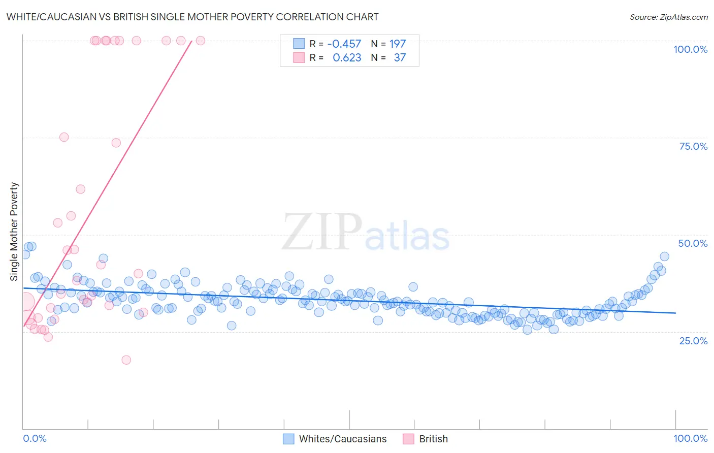 White/Caucasian vs British Single Mother Poverty