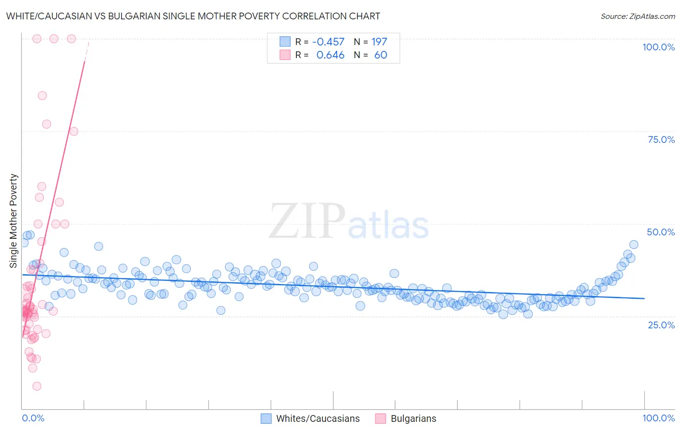 White/Caucasian vs Bulgarian Single Mother Poverty