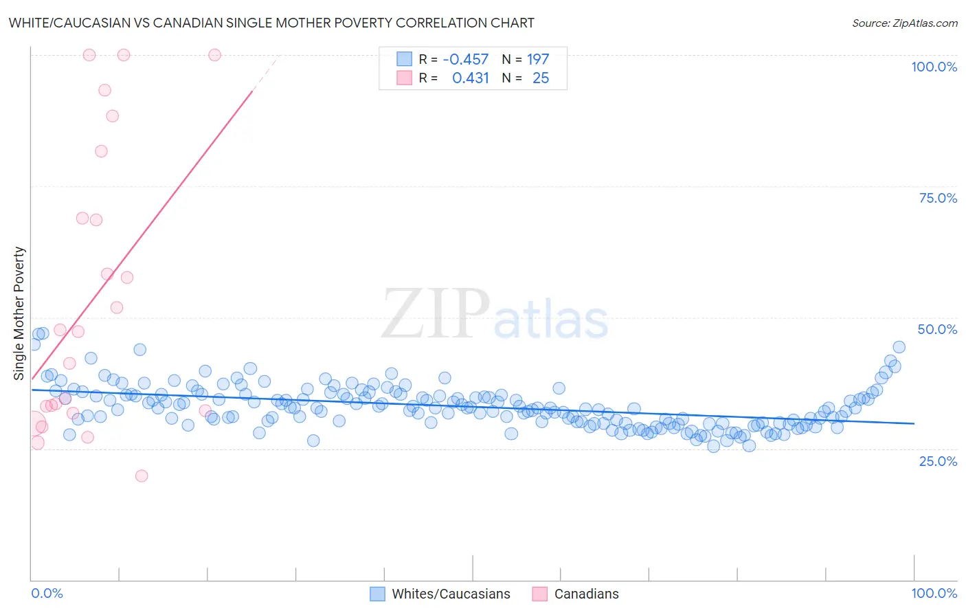 White/Caucasian vs Canadian Single Mother Poverty
