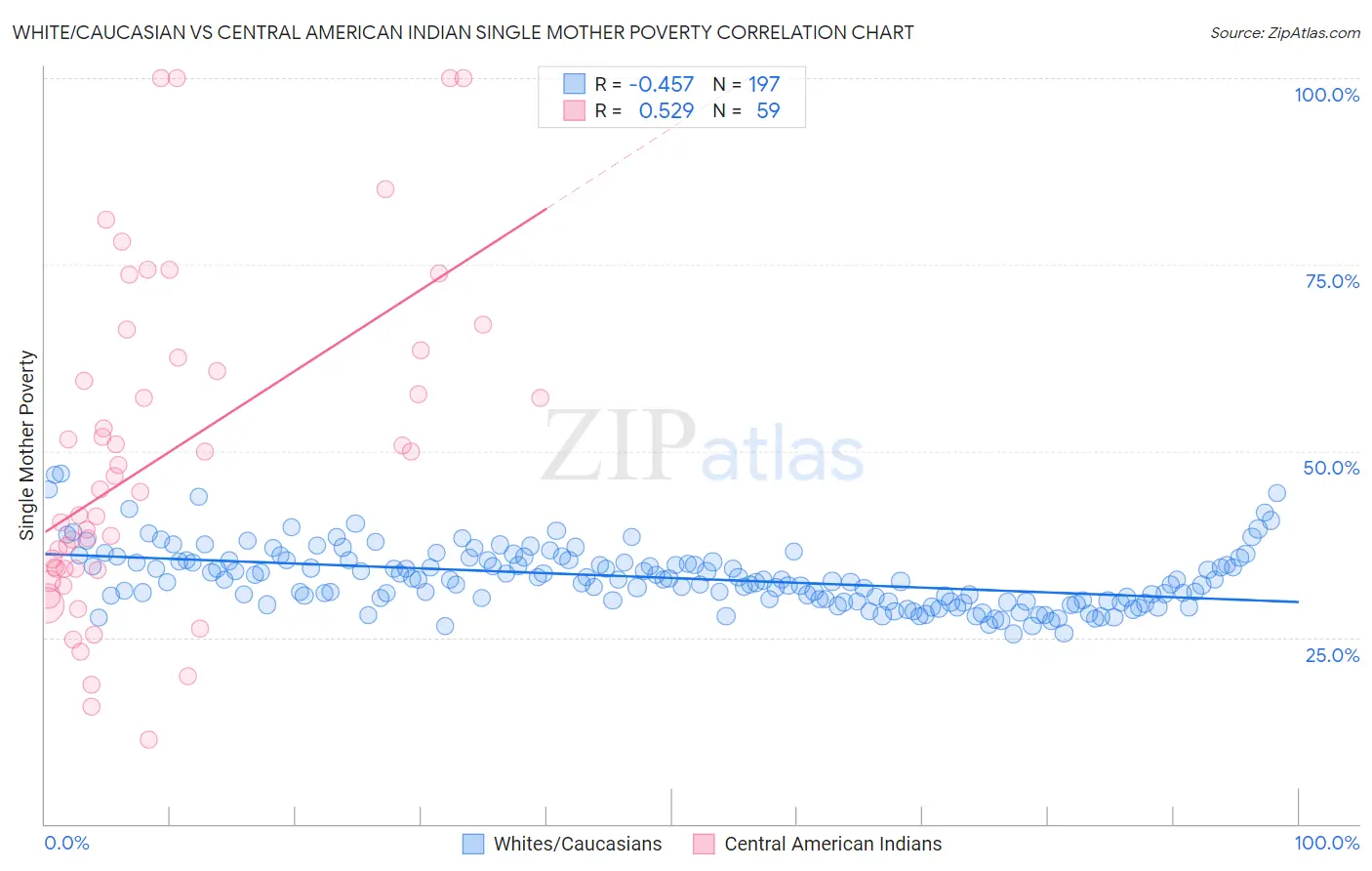 White/Caucasian vs Central American Indian Single Mother Poverty