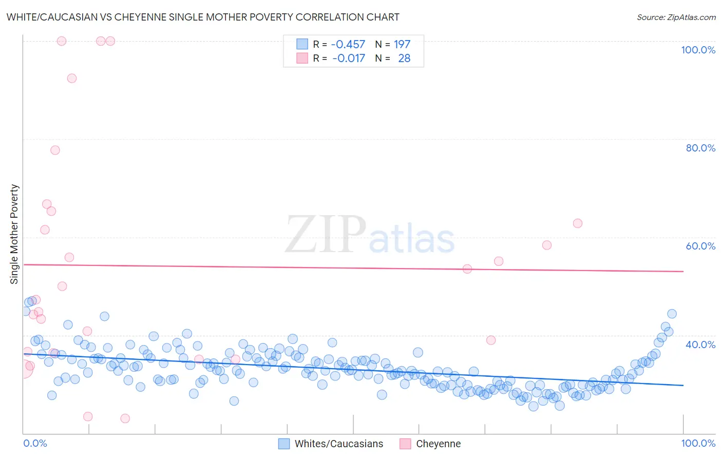 White/Caucasian vs Cheyenne Single Mother Poverty