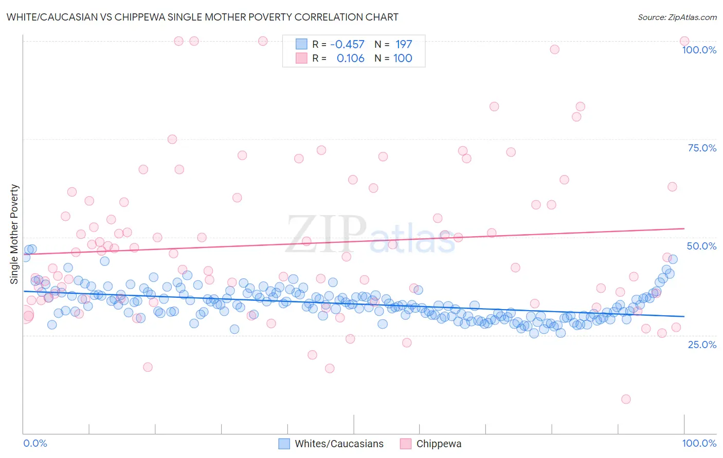 White/Caucasian vs Chippewa Single Mother Poverty