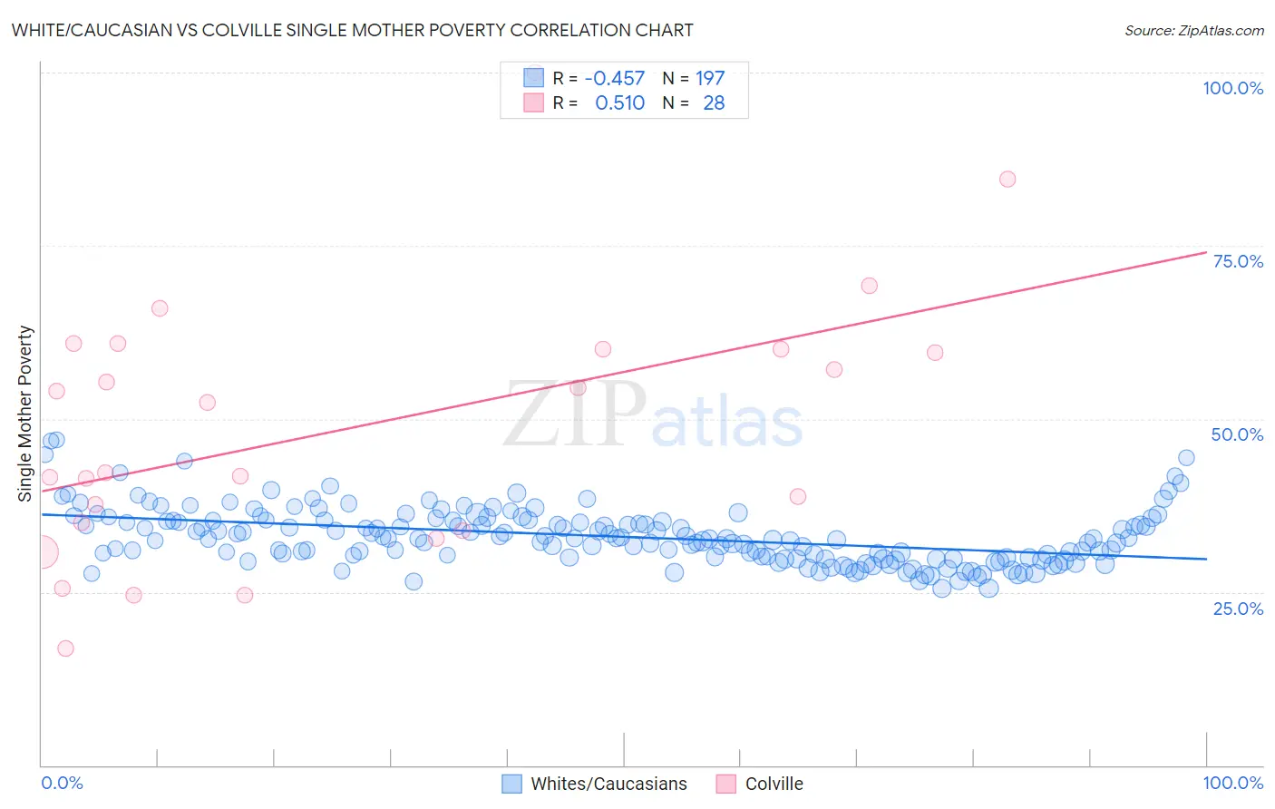 White/Caucasian vs Colville Single Mother Poverty