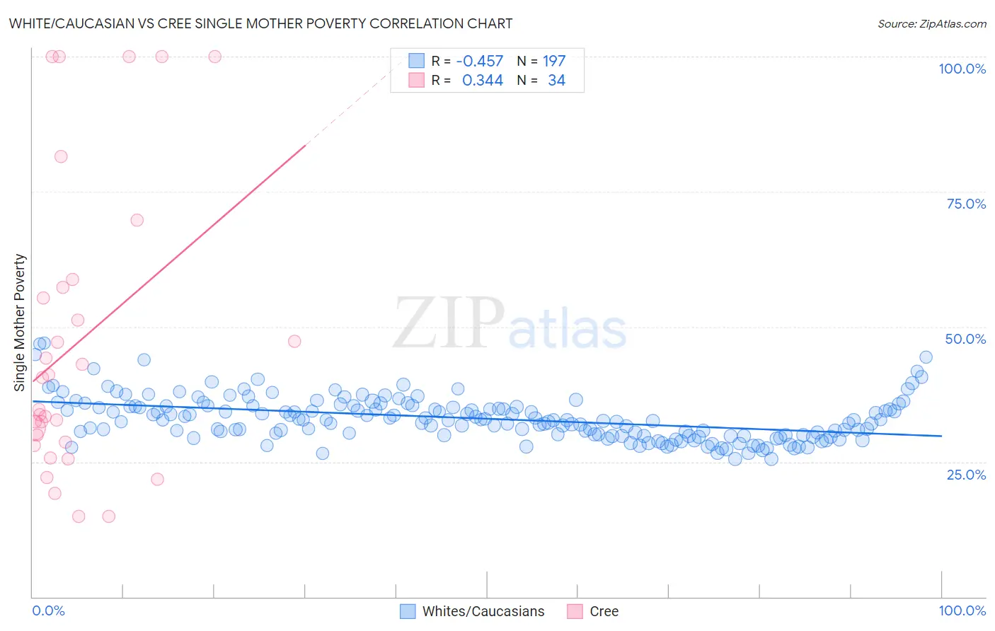 White/Caucasian vs Cree Single Mother Poverty