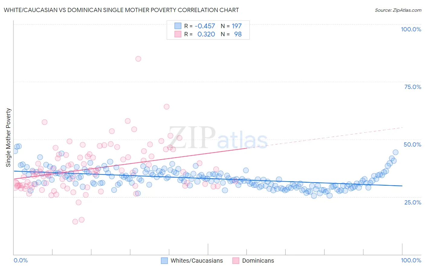 White/Caucasian vs Dominican Single Mother Poverty