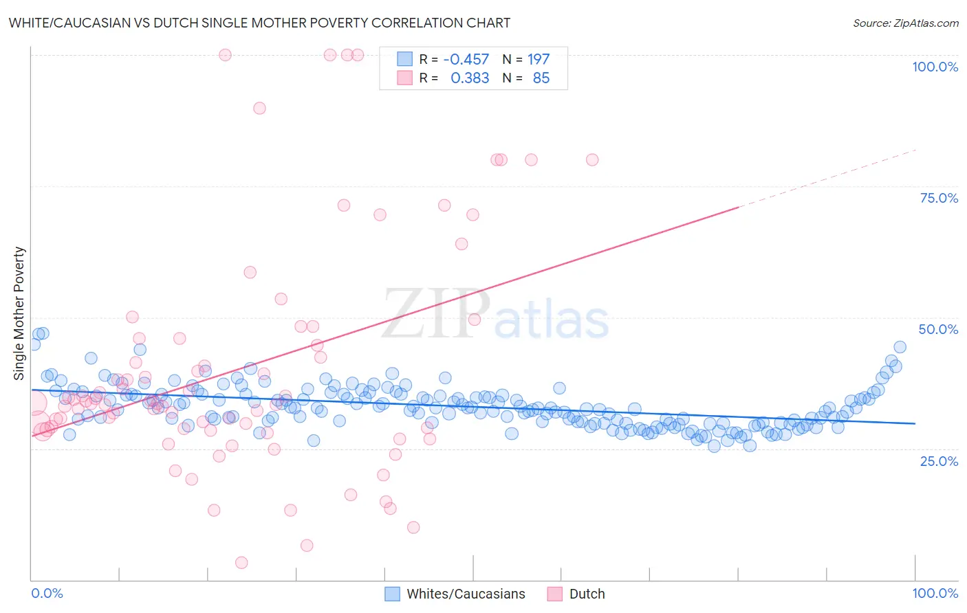 White/Caucasian vs Dutch Single Mother Poverty