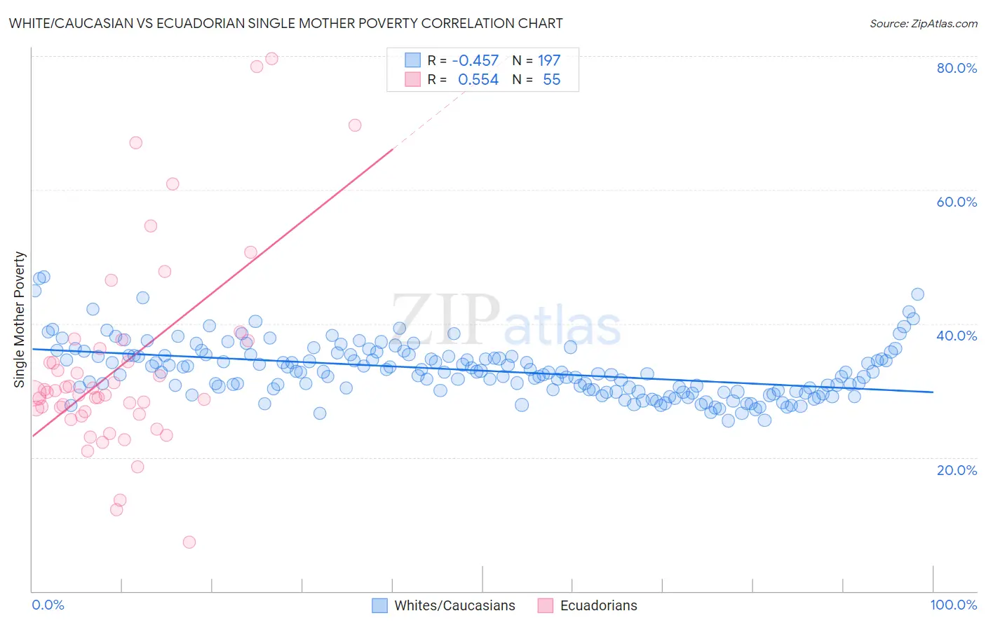 White/Caucasian vs Ecuadorian Single Mother Poverty