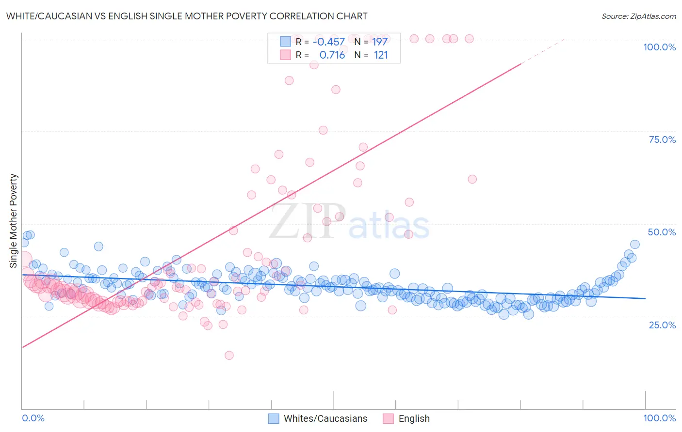 White/Caucasian vs English Single Mother Poverty