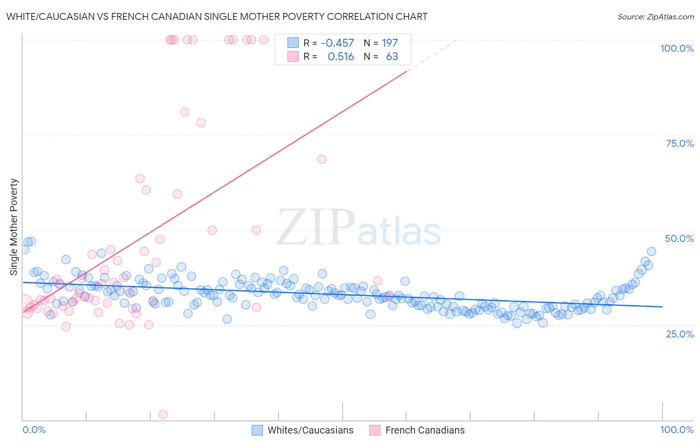 White/Caucasian vs French Canadian Single Mother Poverty