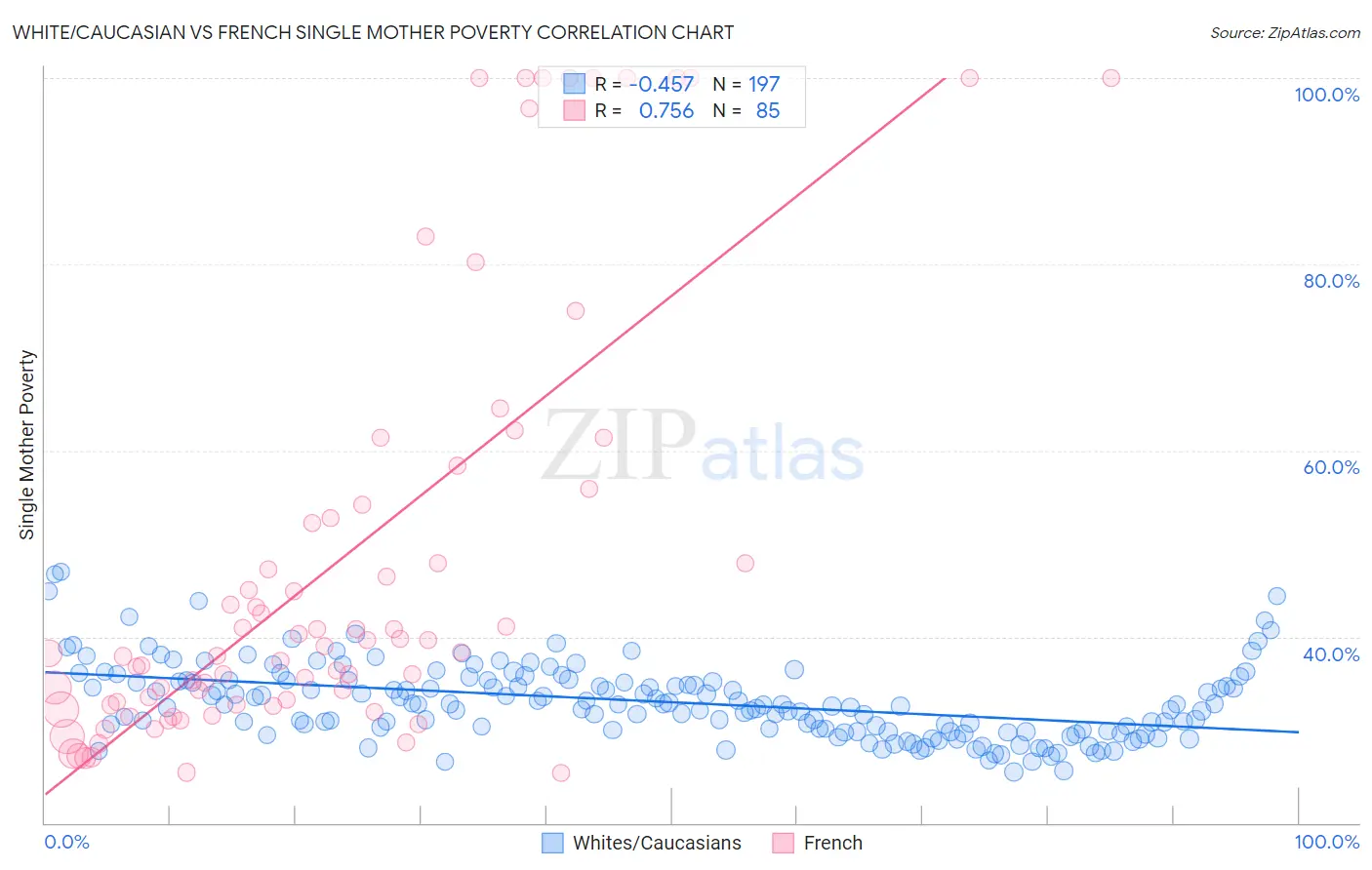 White/Caucasian vs French Single Mother Poverty