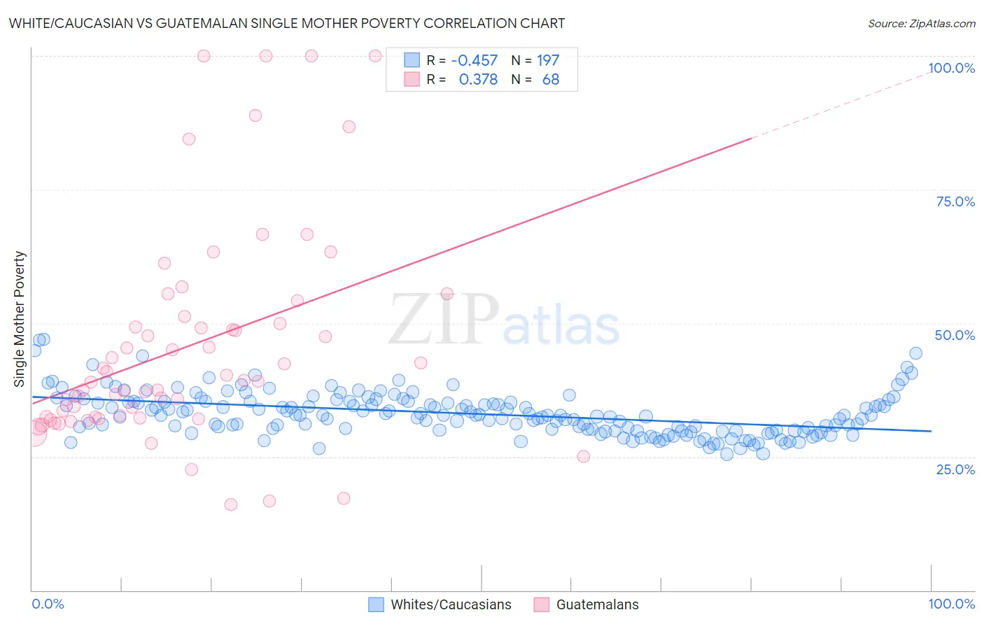 White/Caucasian vs Guatemalan Single Mother Poverty