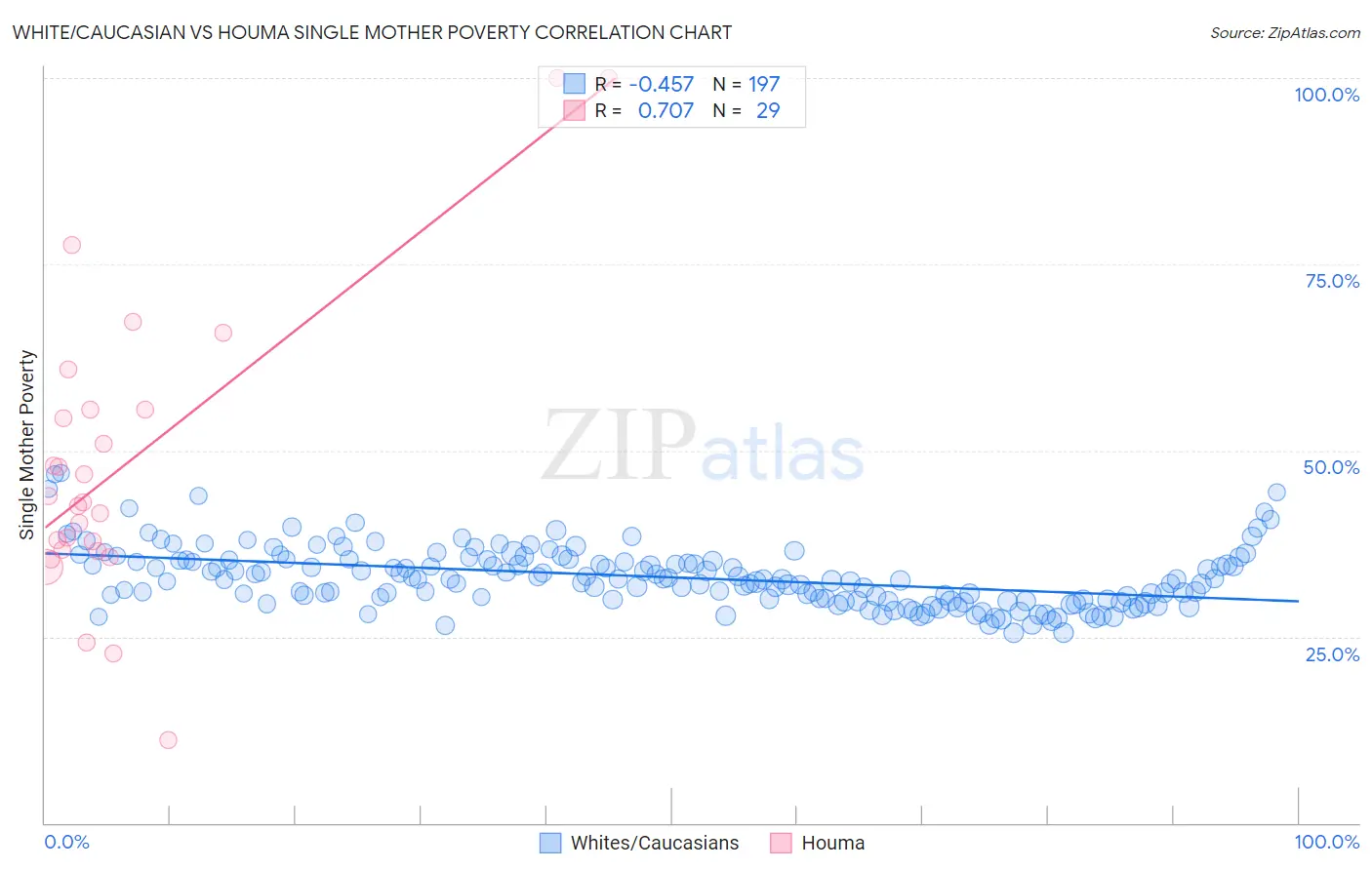 White/Caucasian vs Houma Single Mother Poverty