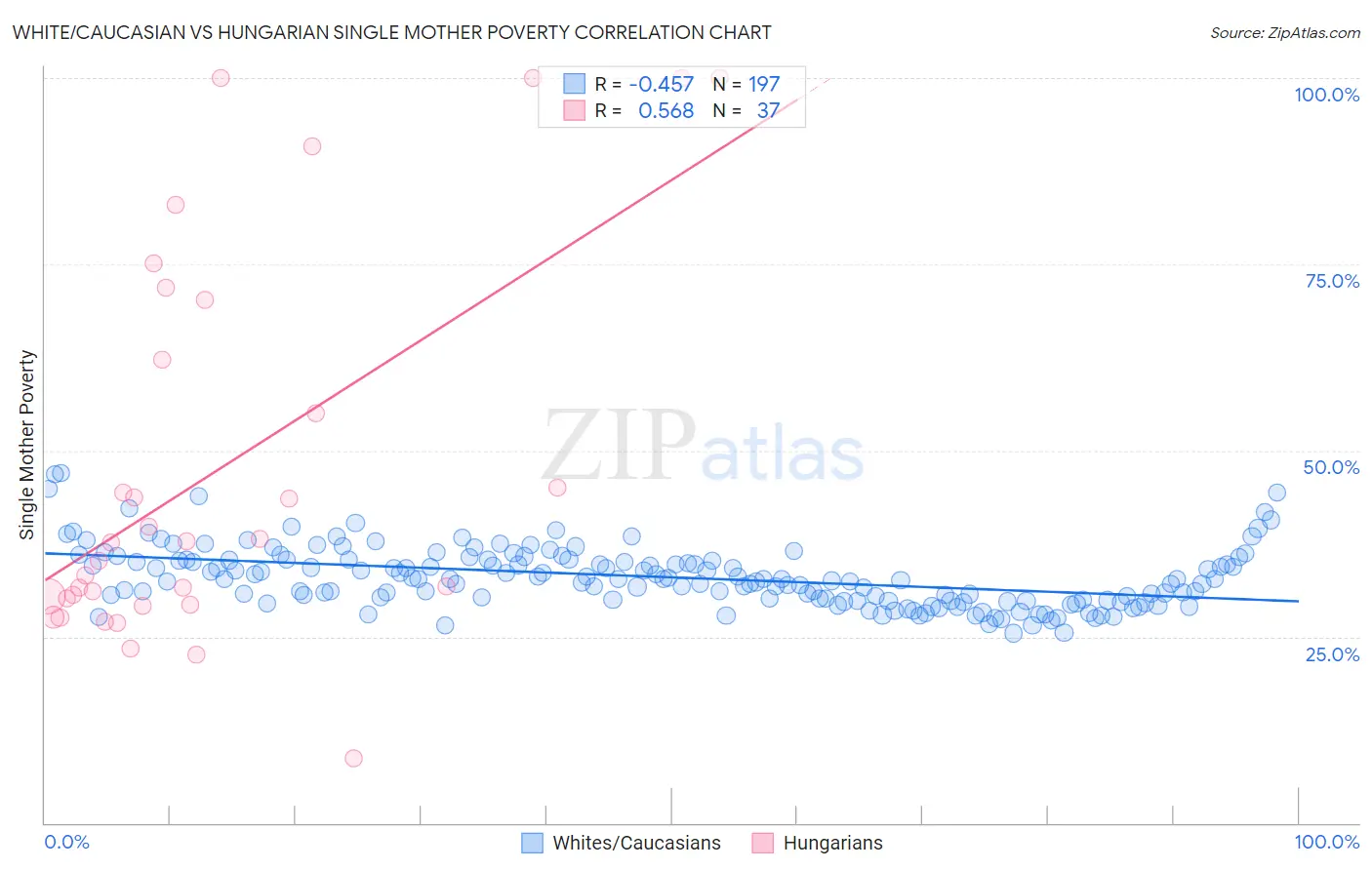 White/Caucasian vs Hungarian Single Mother Poverty
