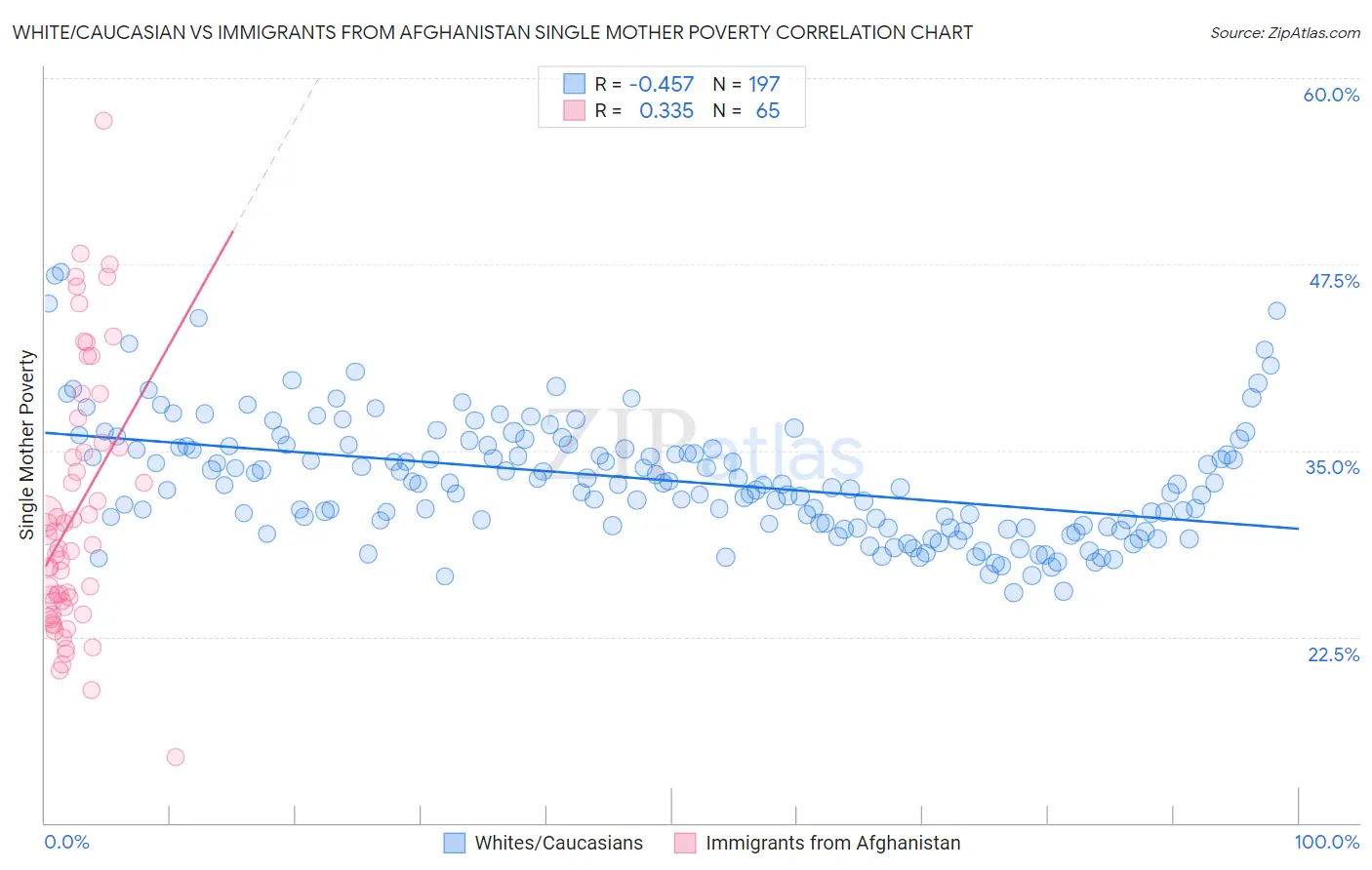 White/Caucasian vs Immigrants from Afghanistan Single Mother Poverty