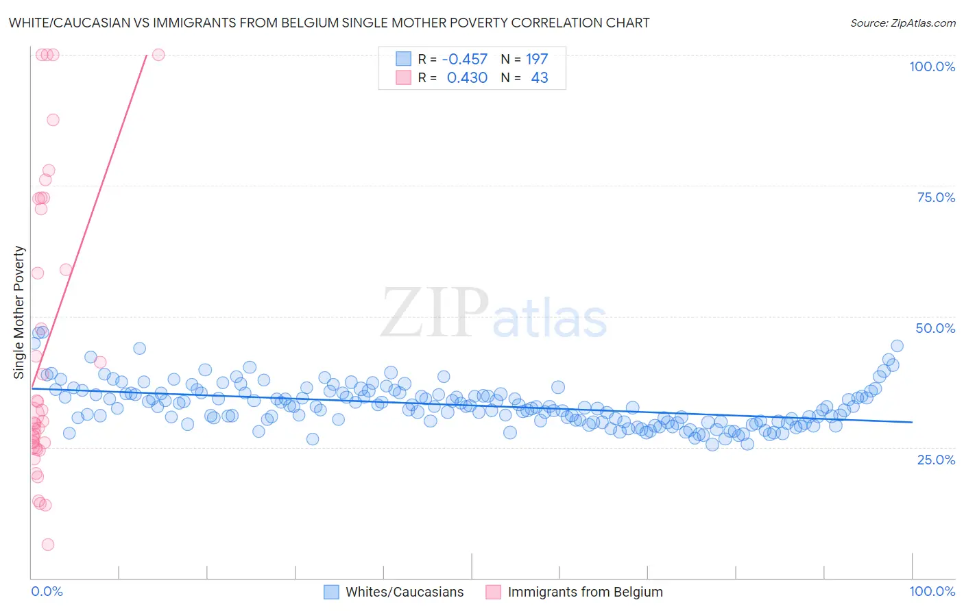 White/Caucasian vs Immigrants from Belgium Single Mother Poverty