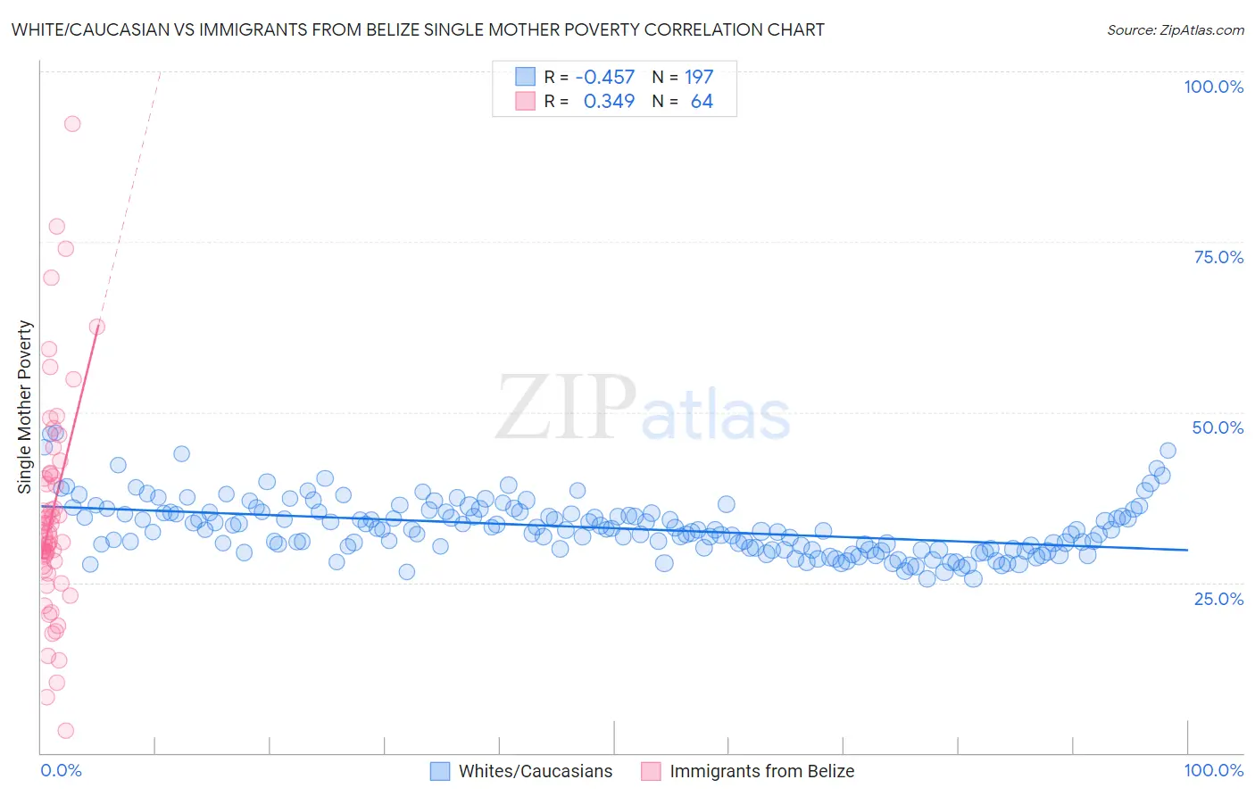 White/Caucasian vs Immigrants from Belize Single Mother Poverty