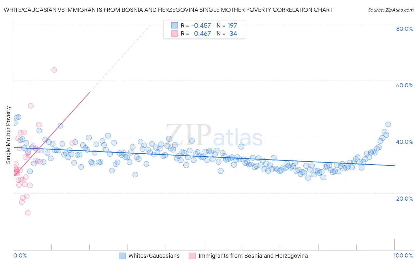 White/Caucasian vs Immigrants from Bosnia and Herzegovina Single Mother Poverty