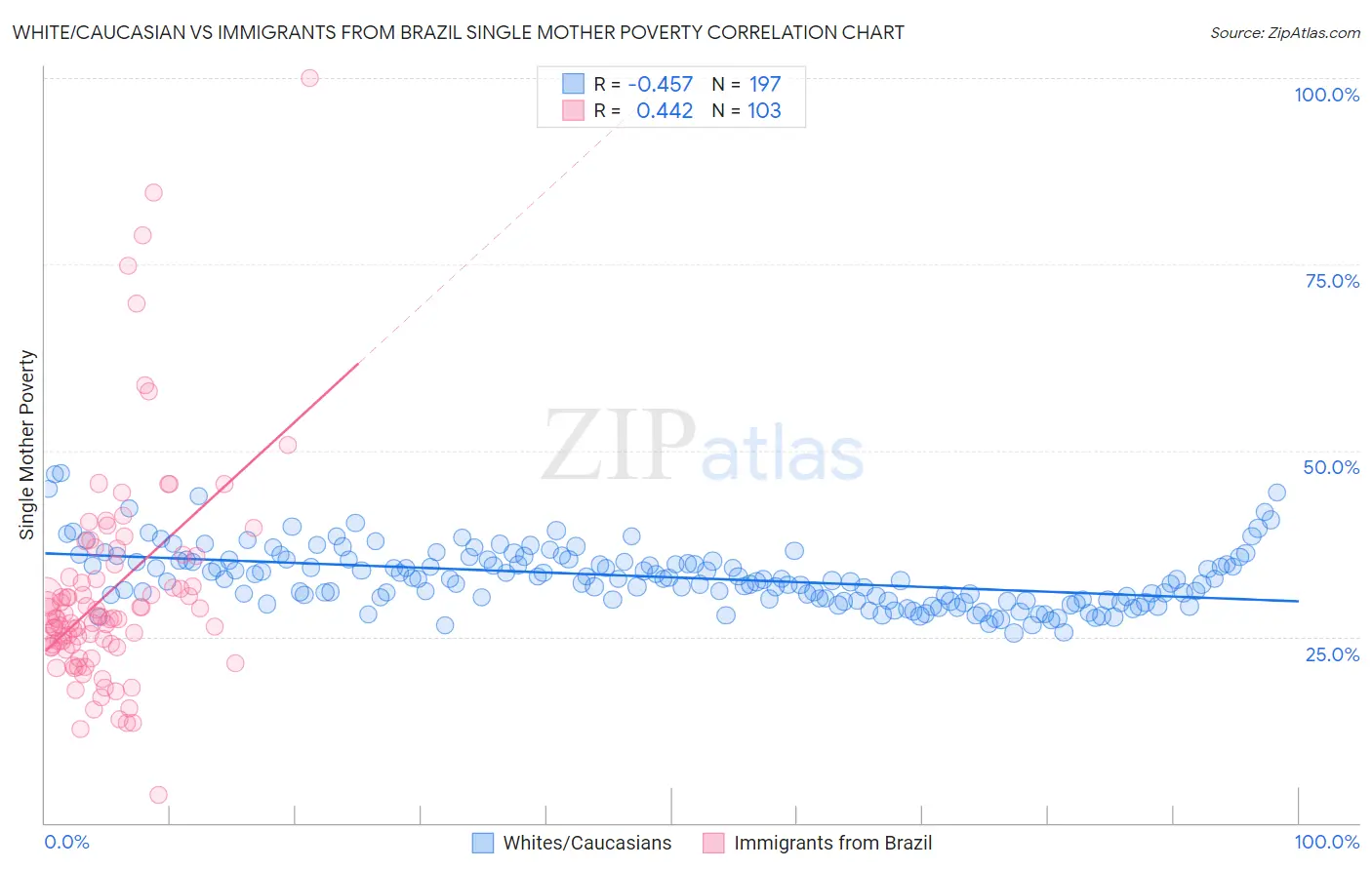 White/Caucasian vs Immigrants from Brazil Single Mother Poverty