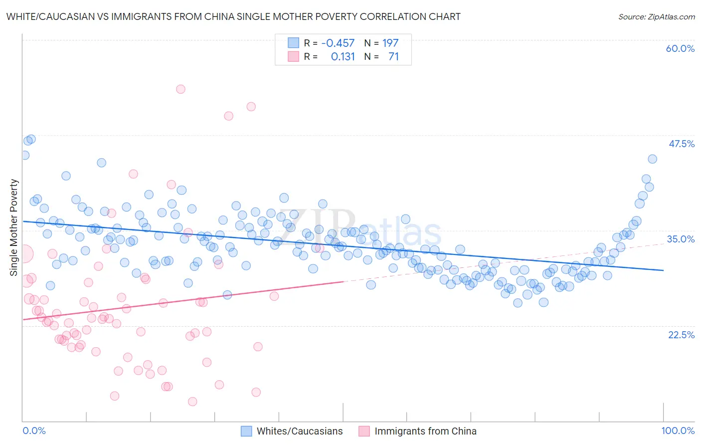 White/Caucasian vs Immigrants from China Single Mother Poverty