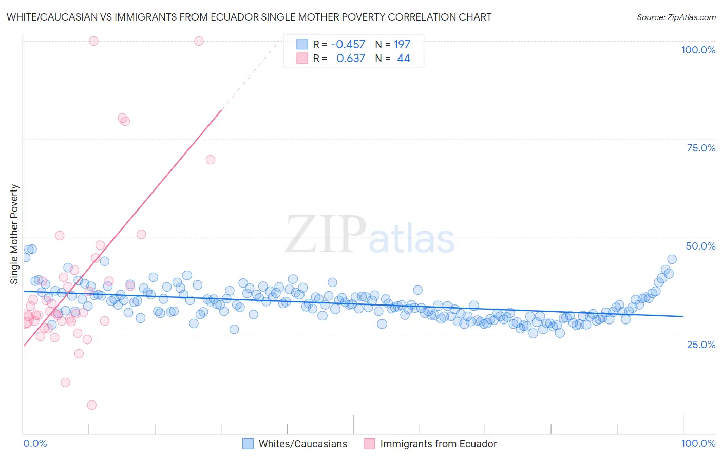 White/Caucasian vs Immigrants from Ecuador Single Mother Poverty