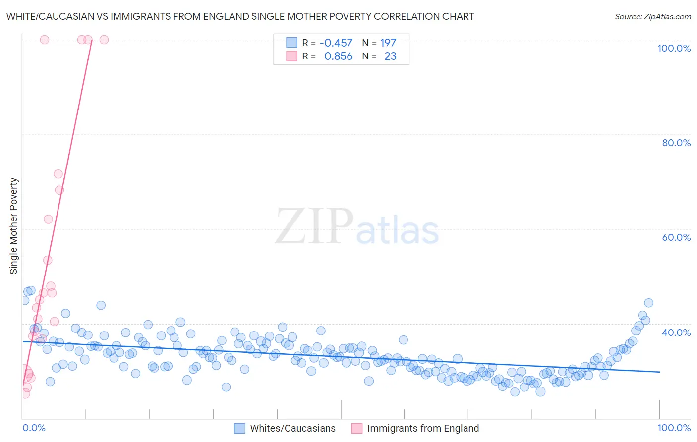 White/Caucasian vs Immigrants from England Single Mother Poverty