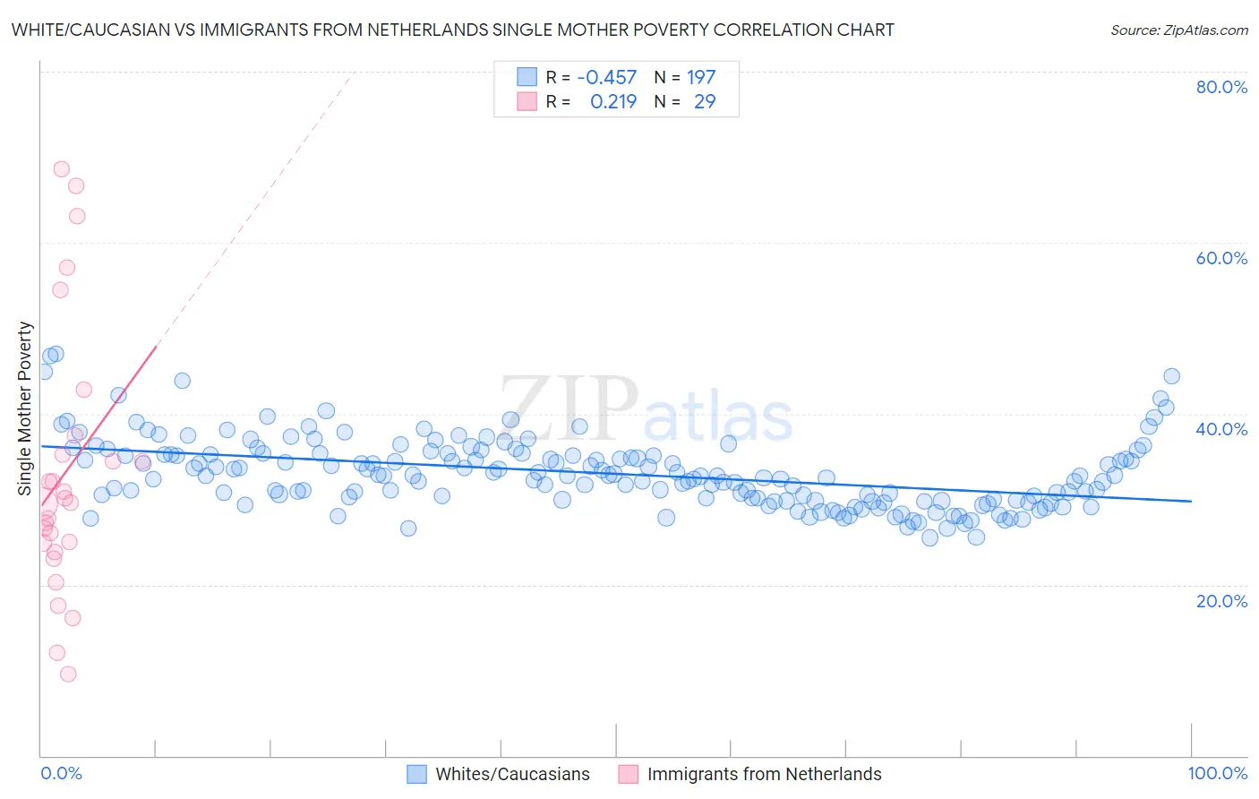 White/Caucasian vs Immigrants from Netherlands Single Mother Poverty