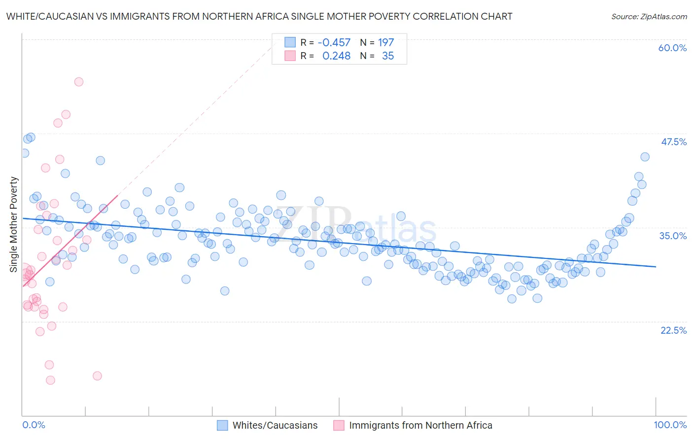 White/Caucasian vs Immigrants from Northern Africa Single Mother Poverty