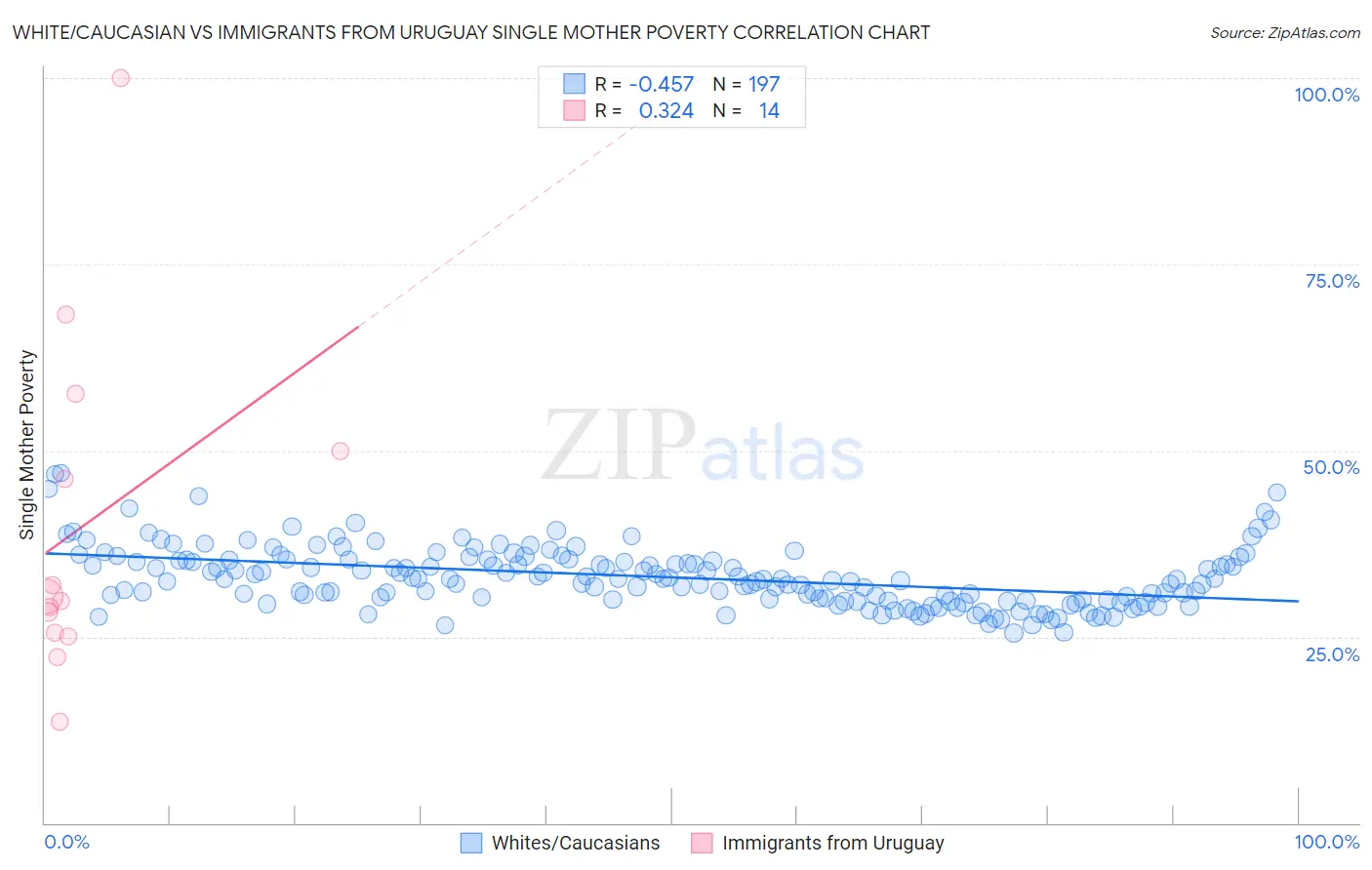 White/Caucasian vs Immigrants from Uruguay Single Mother Poverty