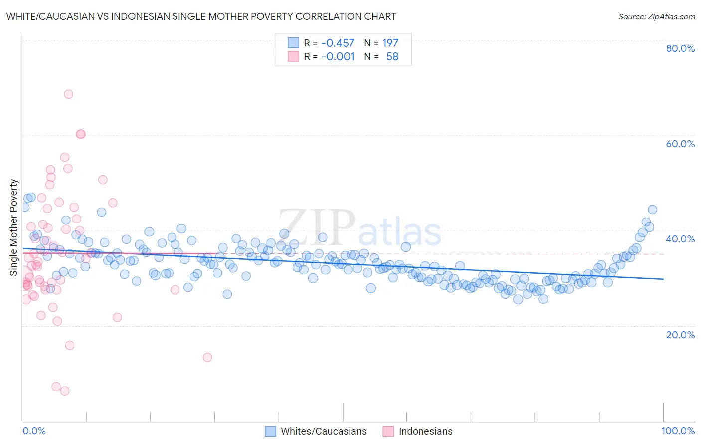 White/Caucasian vs Indonesian Single Mother Poverty