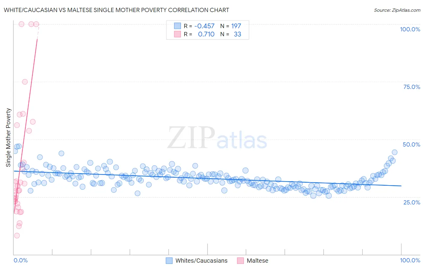 White/Caucasian vs Maltese Single Mother Poverty