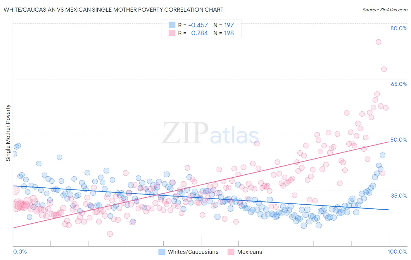 White/Caucasian vs Mexican Single Mother Poverty