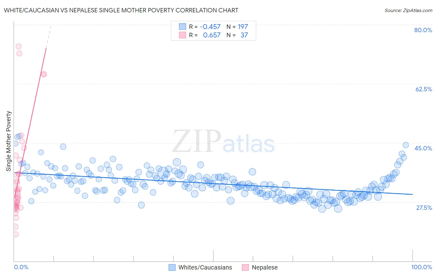 White/Caucasian vs Nepalese Single Mother Poverty