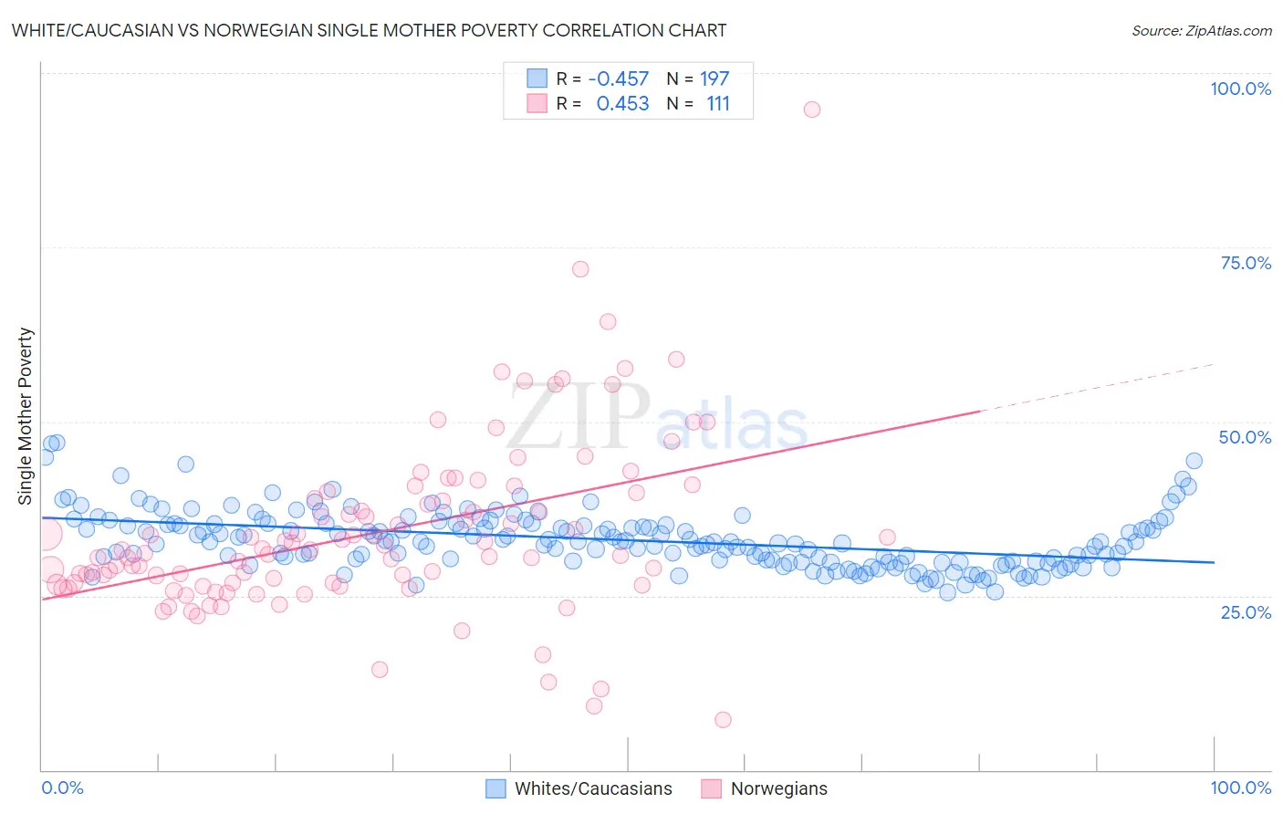 White/Caucasian vs Norwegian Single Mother Poverty