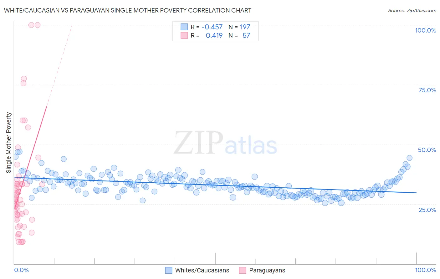 White/Caucasian vs Paraguayan Single Mother Poverty