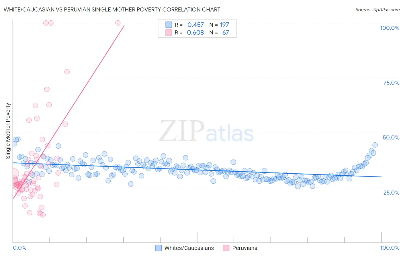 White/Caucasian vs Peruvian Single Mother Poverty