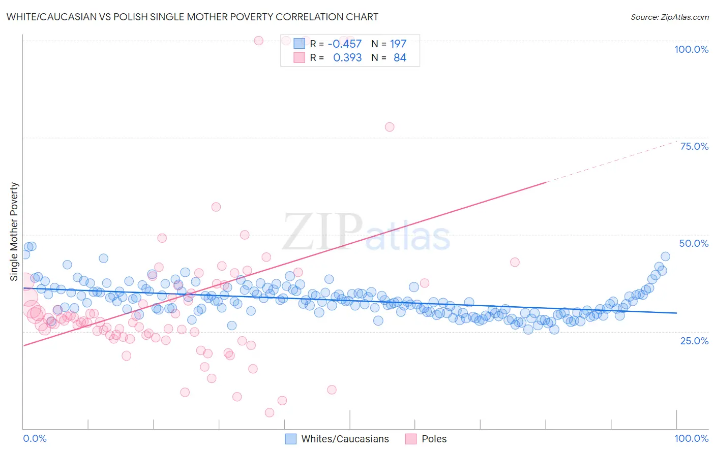 White/Caucasian vs Polish Single Mother Poverty
