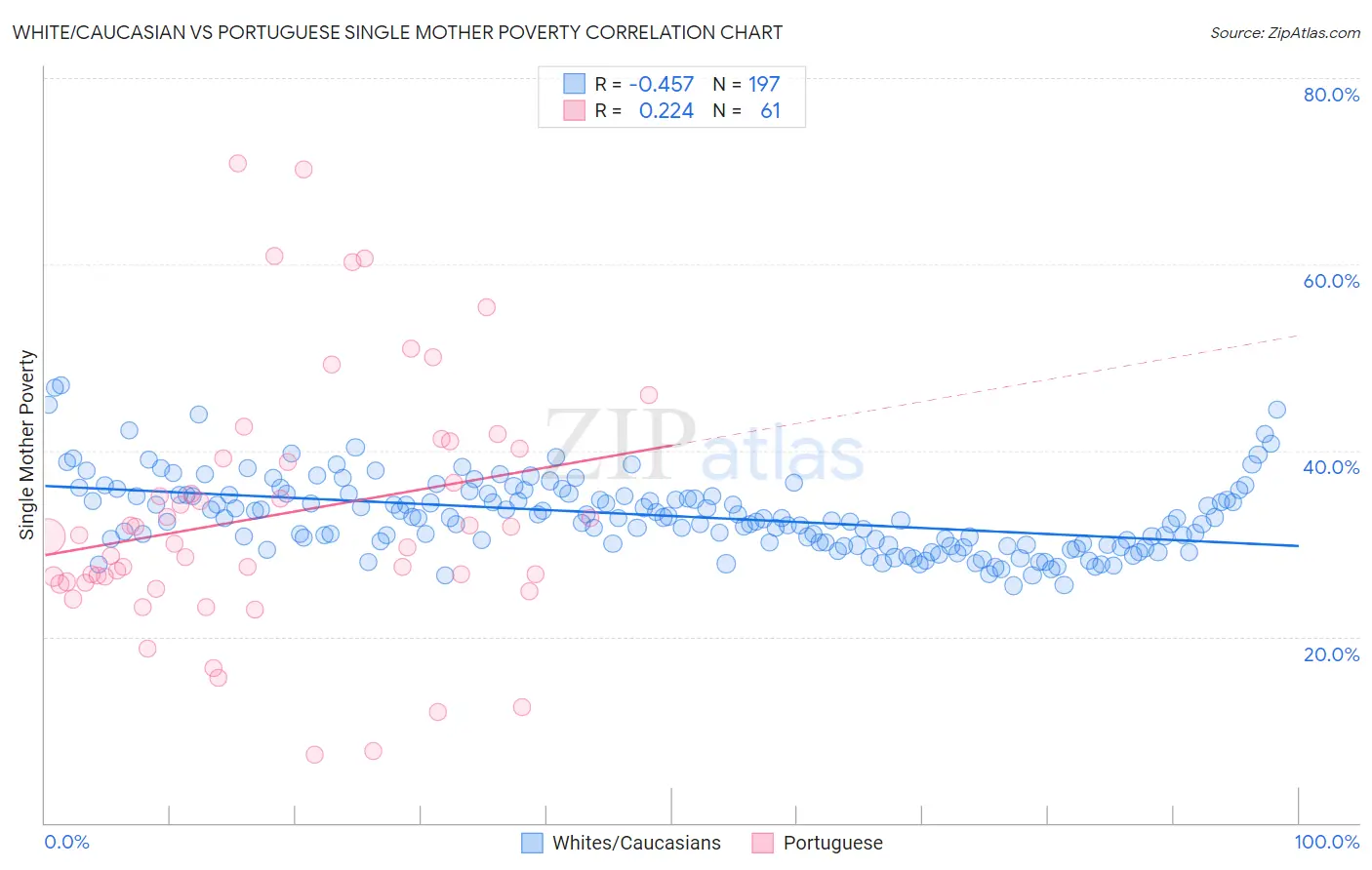 White/Caucasian vs Portuguese Single Mother Poverty