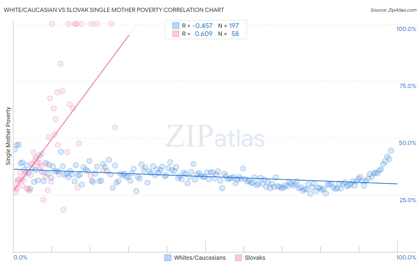 White/Caucasian vs Slovak Single Mother Poverty