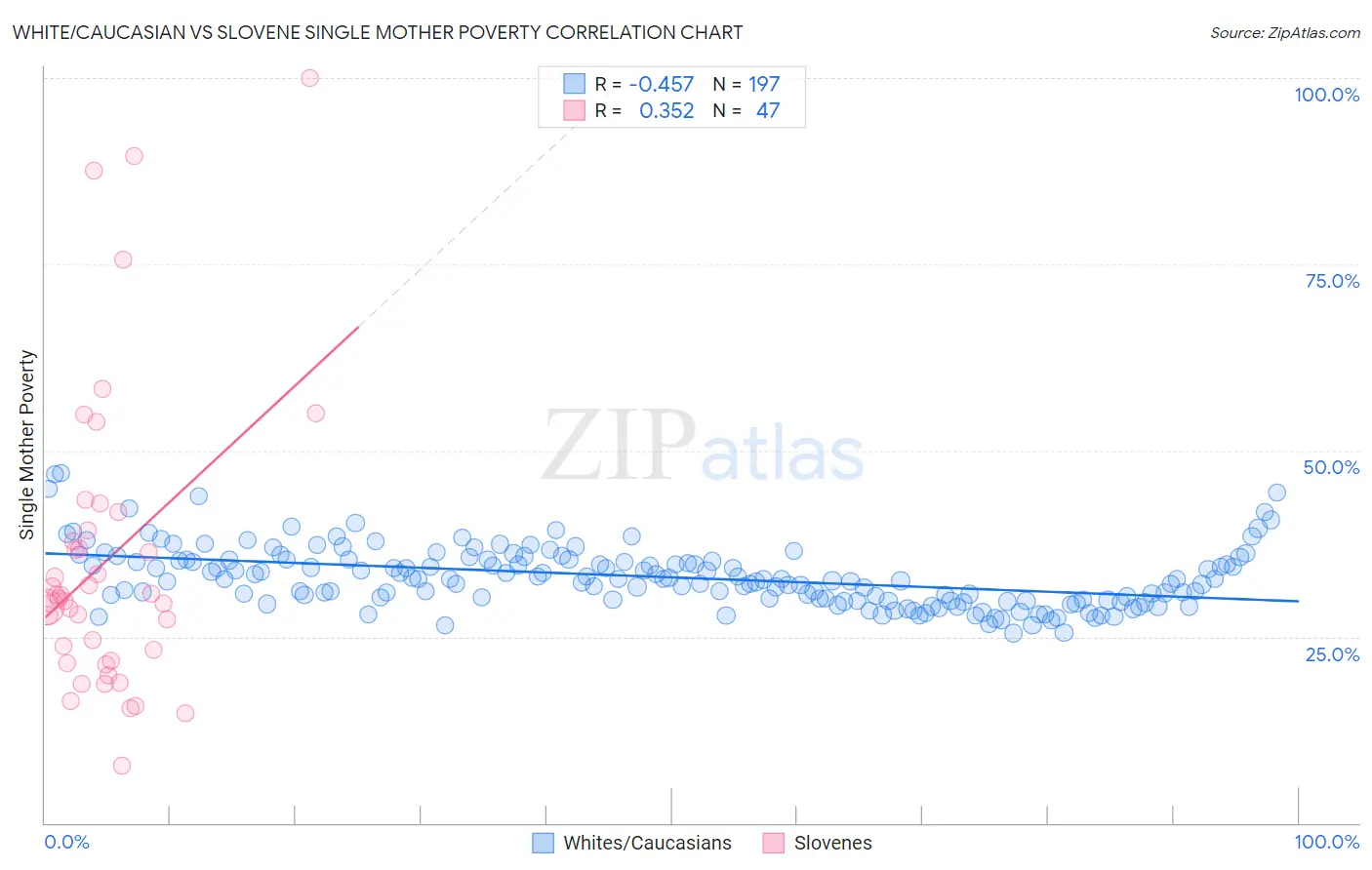 White/Caucasian vs Slovene Single Mother Poverty