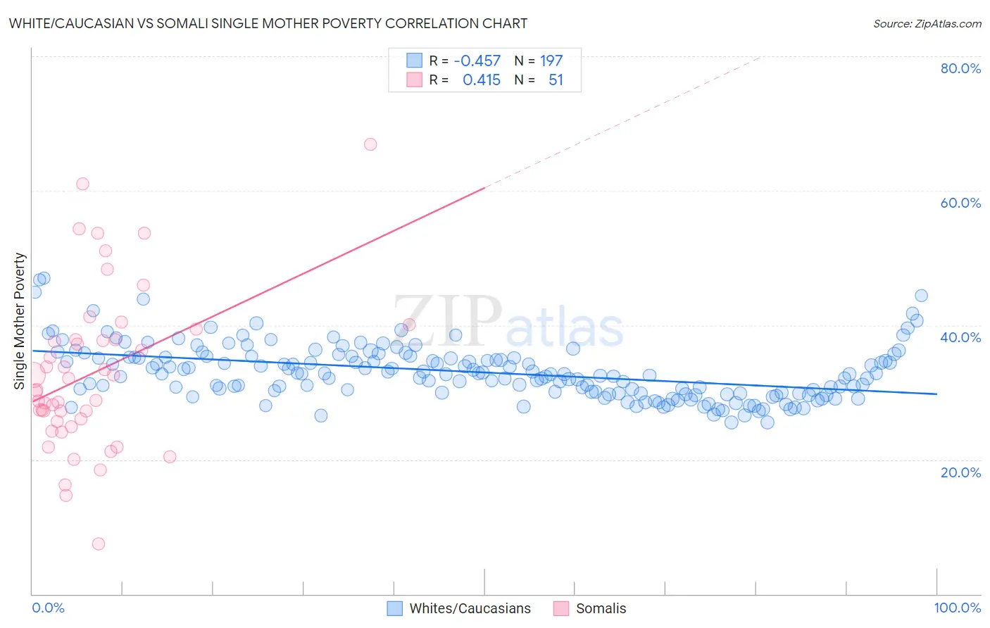 White/Caucasian vs Somali Single Mother Poverty