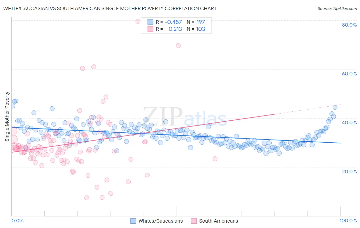 White/Caucasian vs South American Single Mother Poverty