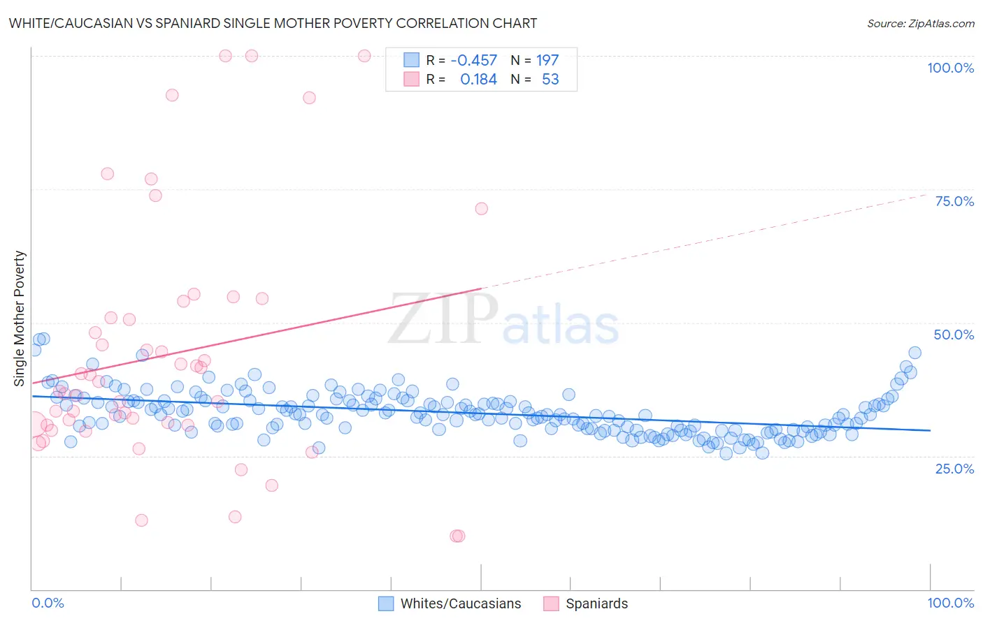 White/Caucasian vs Spaniard Single Mother Poverty