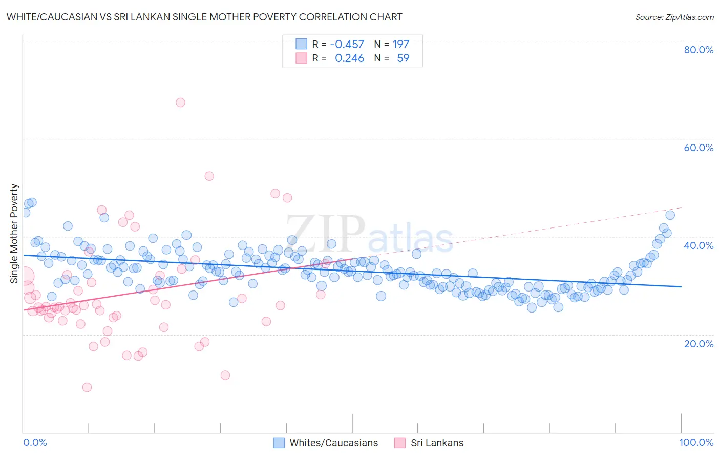 White/Caucasian vs Sri Lankan Single Mother Poverty