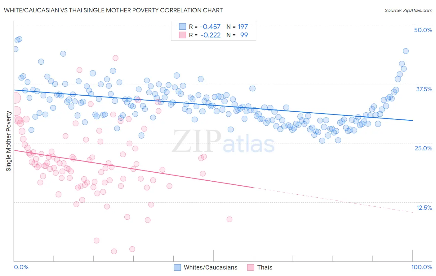 White/Caucasian vs Thai Single Mother Poverty