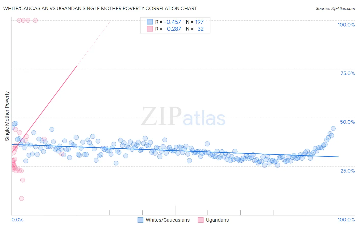 White/Caucasian vs Ugandan Single Mother Poverty