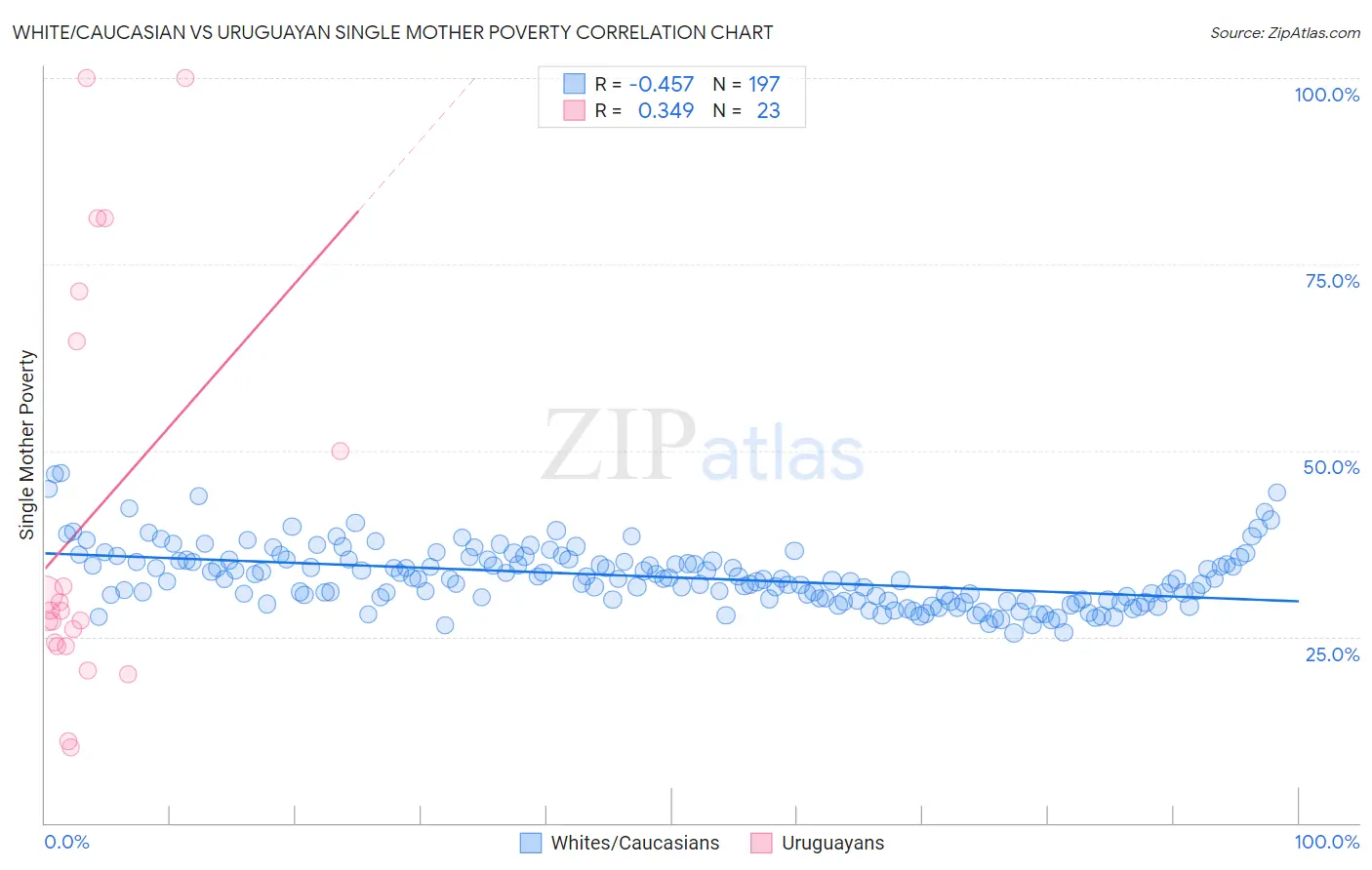 White/Caucasian vs Uruguayan Single Mother Poverty