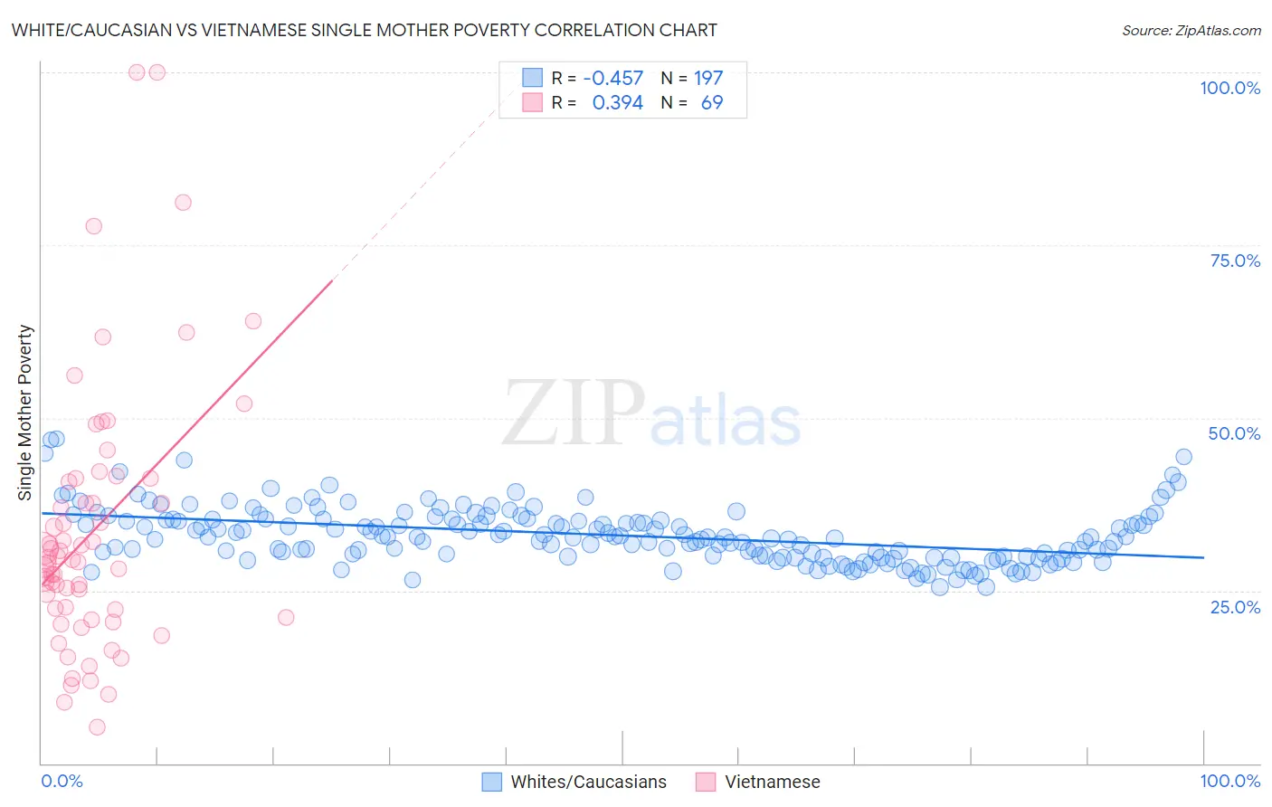 White/Caucasian vs Vietnamese Single Mother Poverty