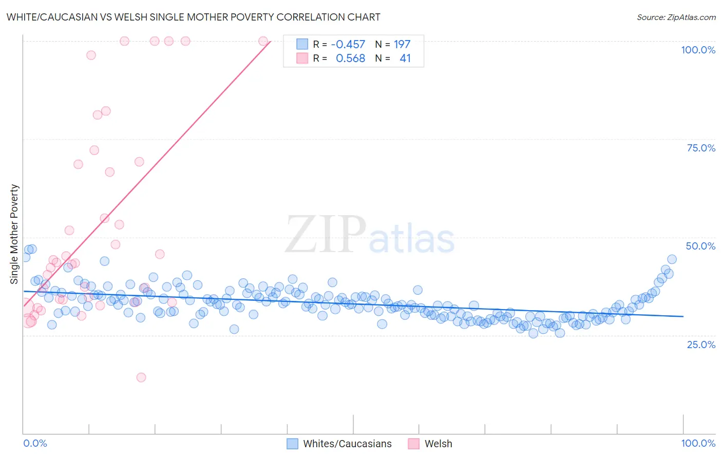 White/Caucasian vs Welsh Single Mother Poverty