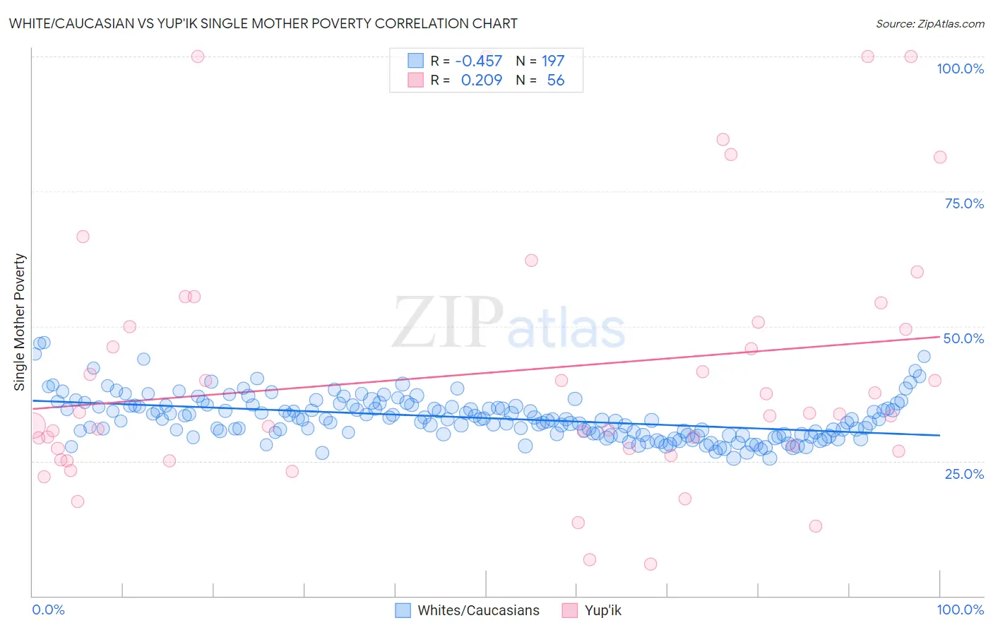 White/Caucasian vs Yup'ik Single Mother Poverty