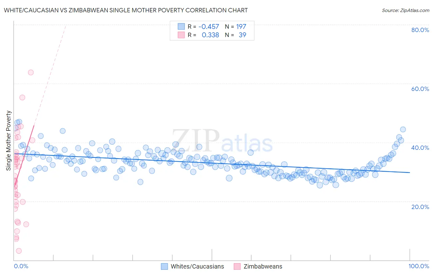 White/Caucasian vs Zimbabwean Single Mother Poverty